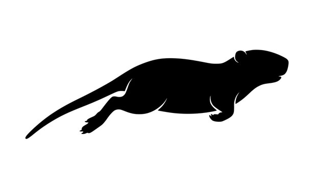 Swimming Nutria Animal Black Silhouette Flat Vector Illustration