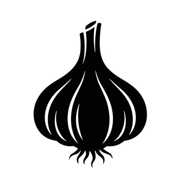 onion and garlic vector illustration