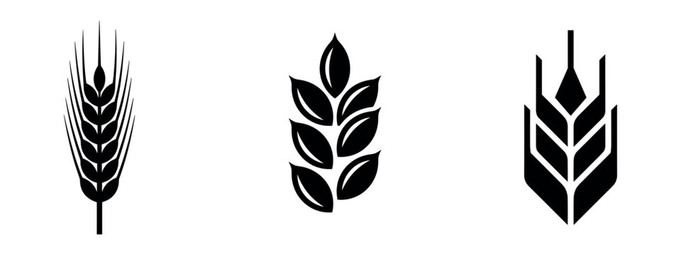 Wheat grain and ear black silhouette icon set. Organic food and agriculture symbols.