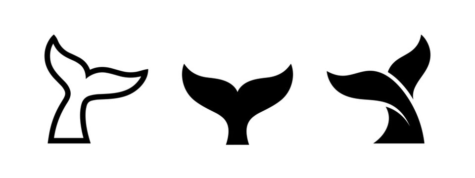 Whale tail icon set. Various stylized marine mammal flukes for ocean and aquatic design elements.