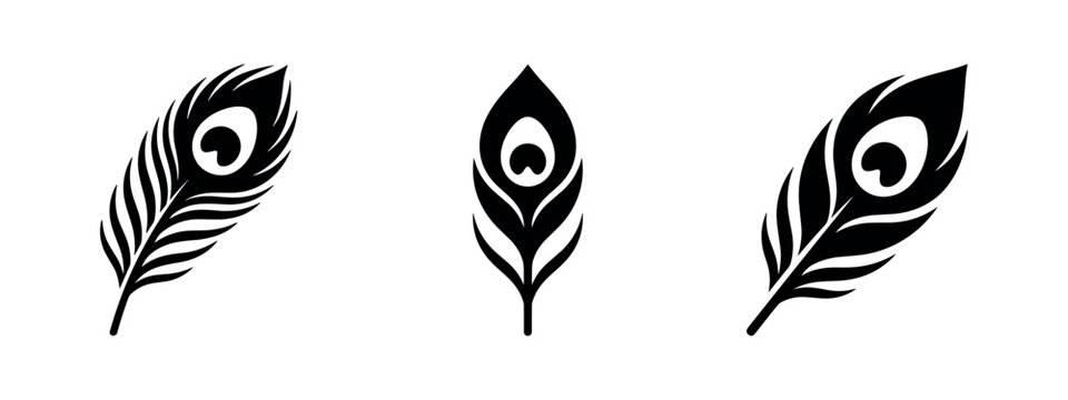 Three black peacock feather icons on a white background.