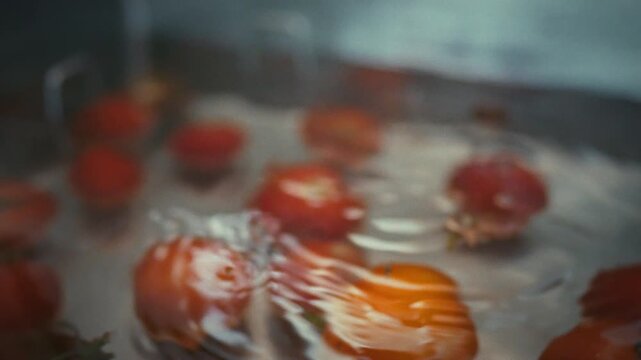 Running water from the tap flows over fresh organic tomatoes held by a woman's hands in a metal kitchen sink. Close-up. Idea of food safety, hygiene and fresh produce cleaning