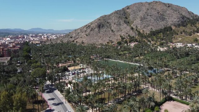 Drone shot flying over El Palmeral palm grove and school, heading toward the city center of Orihuela, Alicante, Spain. Scenic tropical view.