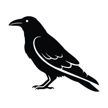 Crow silhouette vector illustration in standing pose for wildlife and nature graphic design.