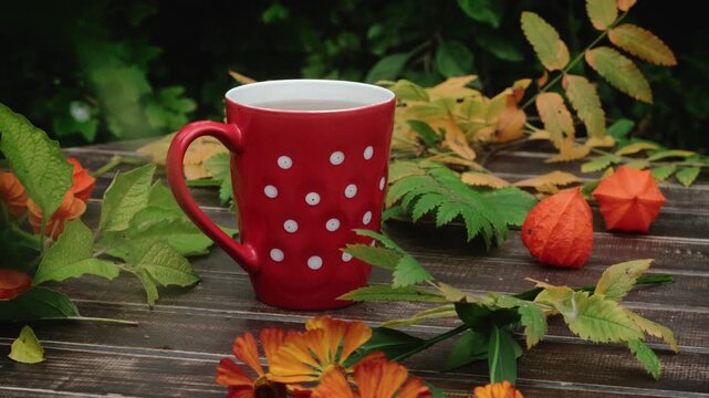 Autumn season. Woman drinking hot tea outdoors