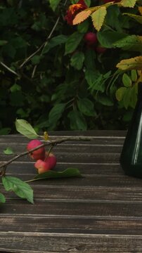 Vertical video. Autumn season. Woman drinking hot tea outdoors
