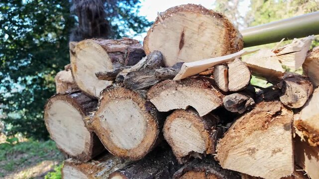 Freshly cut firewood logs stack together outdoors with green trees in the background.