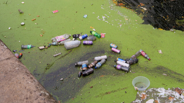 Floating plastic bottles and aluminum cans polluting green duckweed water surface in canal