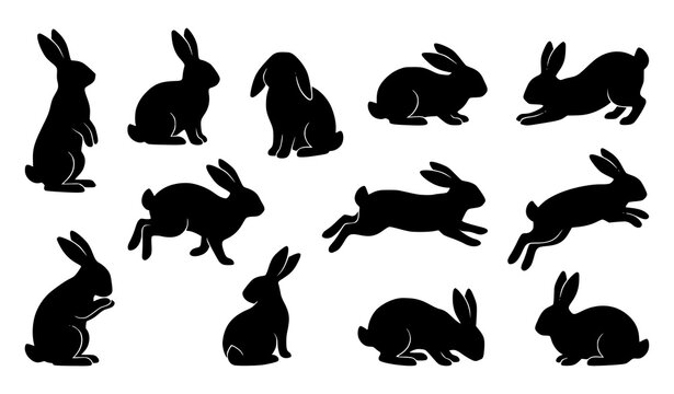 Black Rabbit Silhouette Collection with Different Poses and Sitting Running Jumping Bunny Shapes