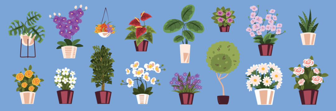 Flowerpots. Flower shop pots, indoor home plant garden flowers vase bouquet basket blossom rose succulent pot monstera leaves nature spring summer decoration vector illustration