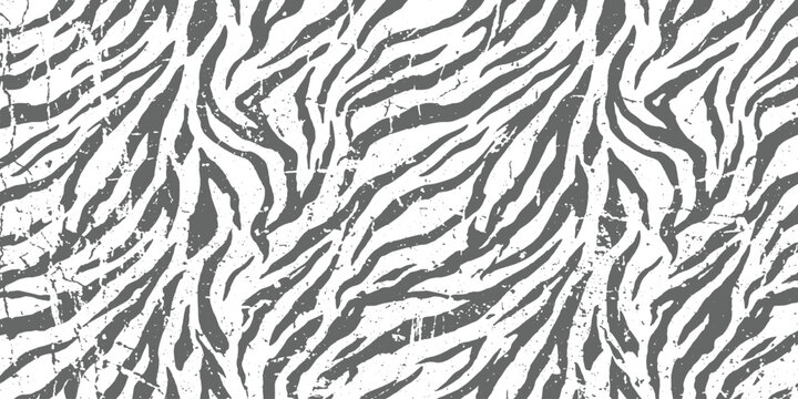 Vintage distressed zebra animal skin pattern with rustic safari stripes texture vector illustration background.
