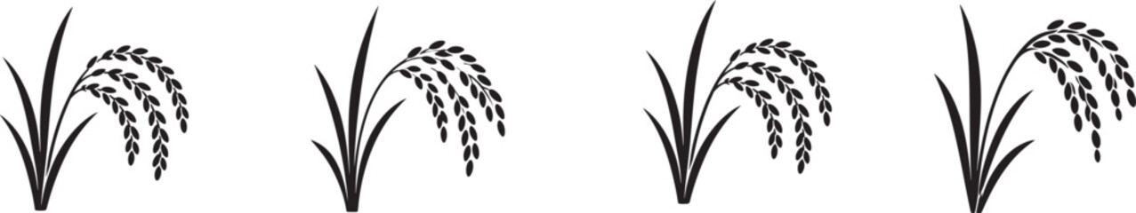 Obraz premium Simple black and white rice plant stalk vector illustration, isolated for agriculture, farming, and food.