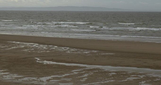 Cinematic wide shot of Oyster catchers on a Scottish beach on a cloudy day
