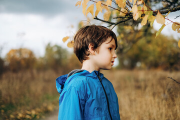 Cute smiling boy in blue jacket posing outdoors in autumn park stock photo © sergo321