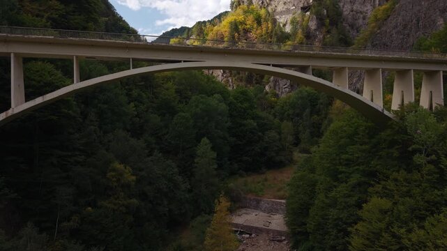 Drone view Stan Viaduct over wooded gorge Romania