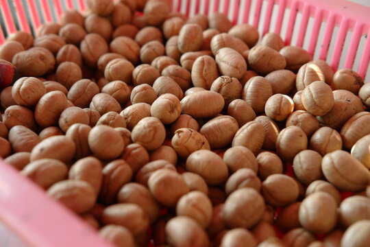 Close up view of raw unroasted coffee beans pile on wooden table