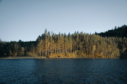 Sunny Shore of a Scandinavian Forest Lake with Blue Water.