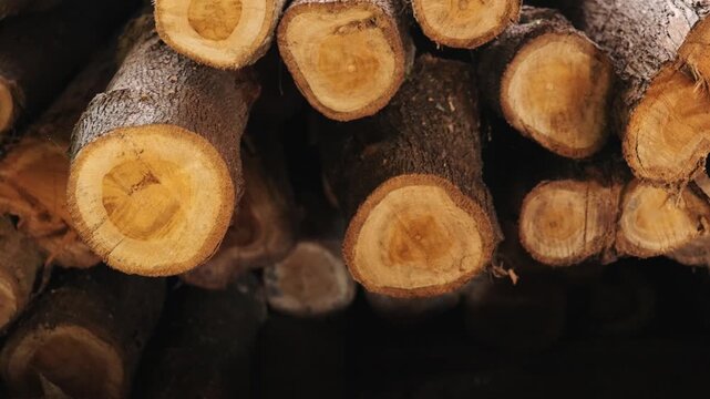Close-up view of stacked teak logs piled together, revealing the cut cross sections with natural wood grain and growth rings, representing timber and forestry industry.