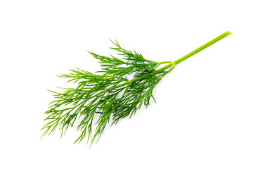 Fresh green dill branches isolated on white, top view. © Yuliia777 Art