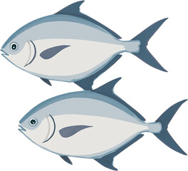 Fototapeta premium Flat Vector Illustration of Fresh Pomfret Fish Isolated