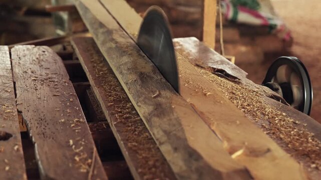 Close-up footage of a circular saw blade cutting through a wooden log at a traditional sawmill, with sawdust scattering during the timber processing.