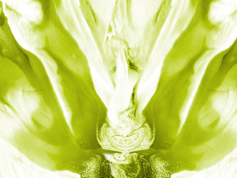 Green abstract painting, creative hand painted background