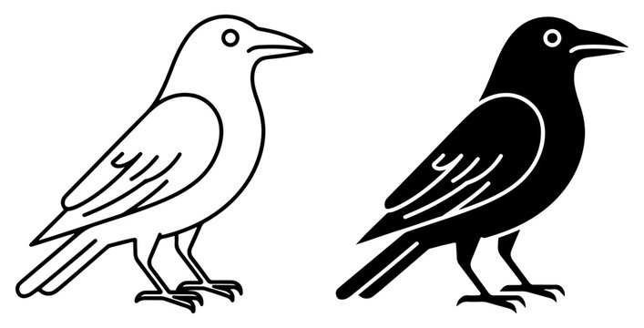 crow bird line and silhouette icon set