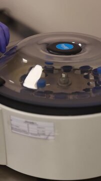 Close-up shot of researcher's hands in protective purple nitrile gloves mixing brown chemical solution in test tube using laboratory vortex mixer. Video shows the process of homogenization and prepara