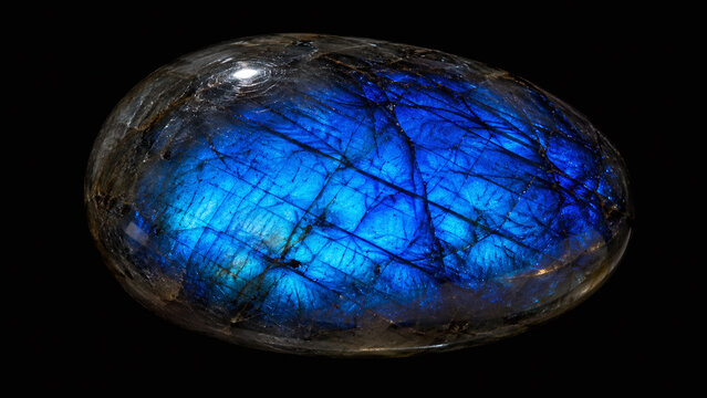 Polished labradorite palm stone macro with extraordinary vivid electric blue-teal labradorescence floating colour flash on pure black background