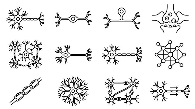 Collection of Neuron Icons and Diagrams - Diverse Neural Network Structures and Synapse Illustrations on Transparent Background