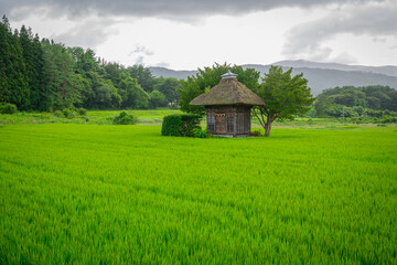 夏の緑に包まれた小さな神社 © 阿部 賢治