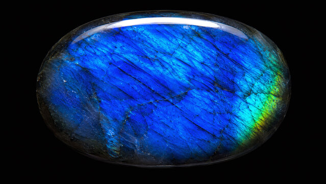 Polished labradorite palmstone macro showing full-surface electric cobalt-blue labradorescence flash with peacock-blue variation on pure black background