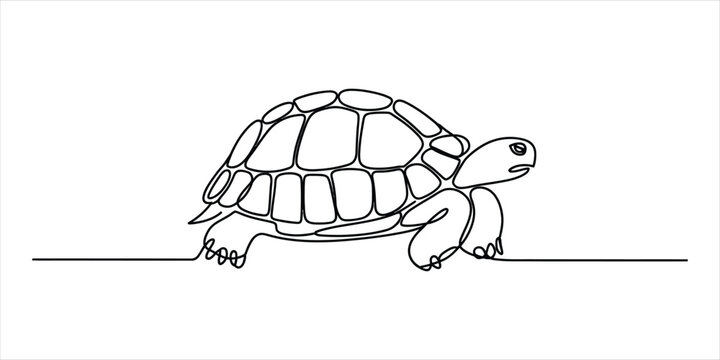 Continuous single line drawing of a cute little turtle walking forward on the ground