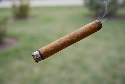 Smoking addiction and health risks, burning cigar with rising smoke and ash in outdoor environment tobacco industry and lifestyle habits