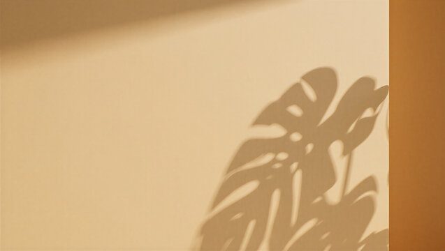 Large monstera plant shadow cast on a beige wall surface with shadow overlay
