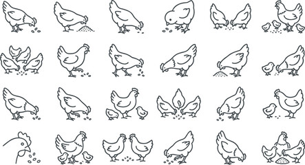 Fototapeta premium Farm chicken hen and small chick line icon set for agriculture designsFarm chicken hen and small chick line icon set for agriculture designs