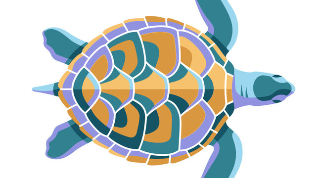 Sea turtle seen from top view showcases a colorful geometric patterned shell on white background.