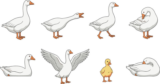 Cute Cartoon White Goose and Gosling Vector Character Set Featuring Poultry Poses Standing, Honking, Walking, Spreading Wings, and Sleeping for Farm Agriculture Design