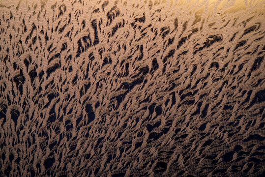 Ornate frost patterns creating abstract natural texture on a glass window, illuminated by a warm golden light during a cold winter morning, symbolizing change and resilience