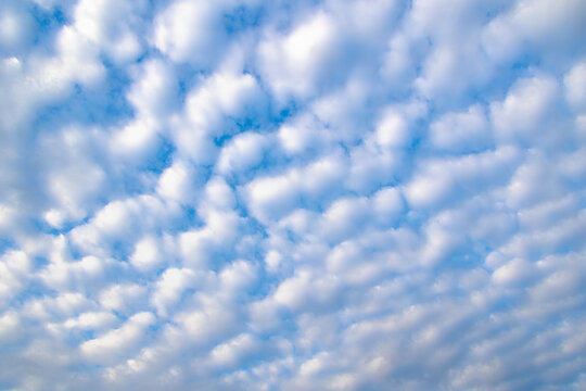 Beautiful white fluffy cloud floating in the sky, Cirrocumulus clouds are high-altitude white patchy cloudlets that look like small ripples, grains or fish scales, Horizon natural pattern background 