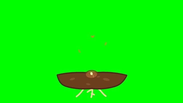 Seed Germination and Young Sprout Growing on Green Screen