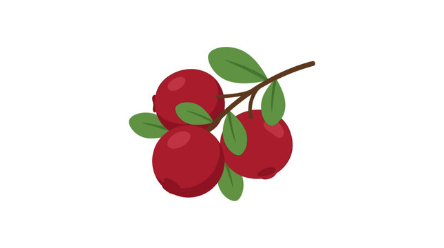Red cranberries with green leaves on a branch vector illustration