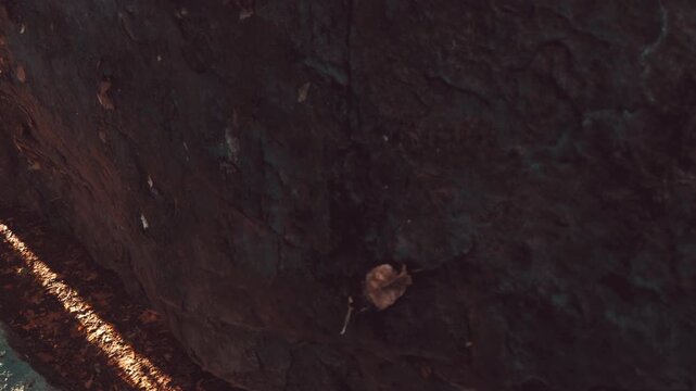 Sunlight filters through a wooded area, casting warm glow on a rugged rock surface. A small leaf clings to the stone, showcasing the beauty of natures persistence against textured stone.