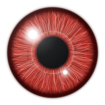 Red crimson eye iris fantasy vampire eye texture on transparent background