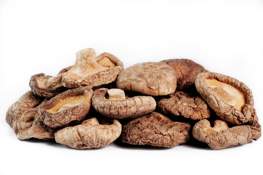 dried shiitake mushrooms on white background