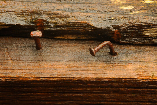 Old rusty nails are hammered into the wooden floor