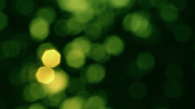 Natural Green Leaves Bokeh Effect with Soft Sunlight Flare Overlay