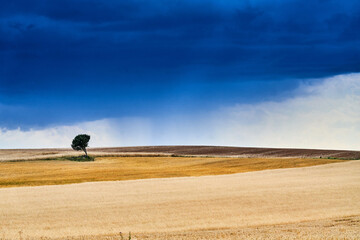 burza, 