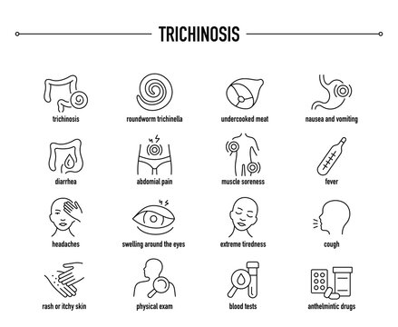 Trichinosis symptoms, diagnostic and treatment vector icon set. Line editable medical icons.