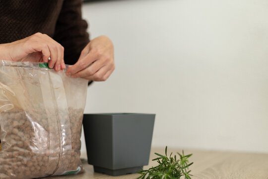 Female hands holding bag with clay pebbles for potting home flowers. Closeup, selective focus.